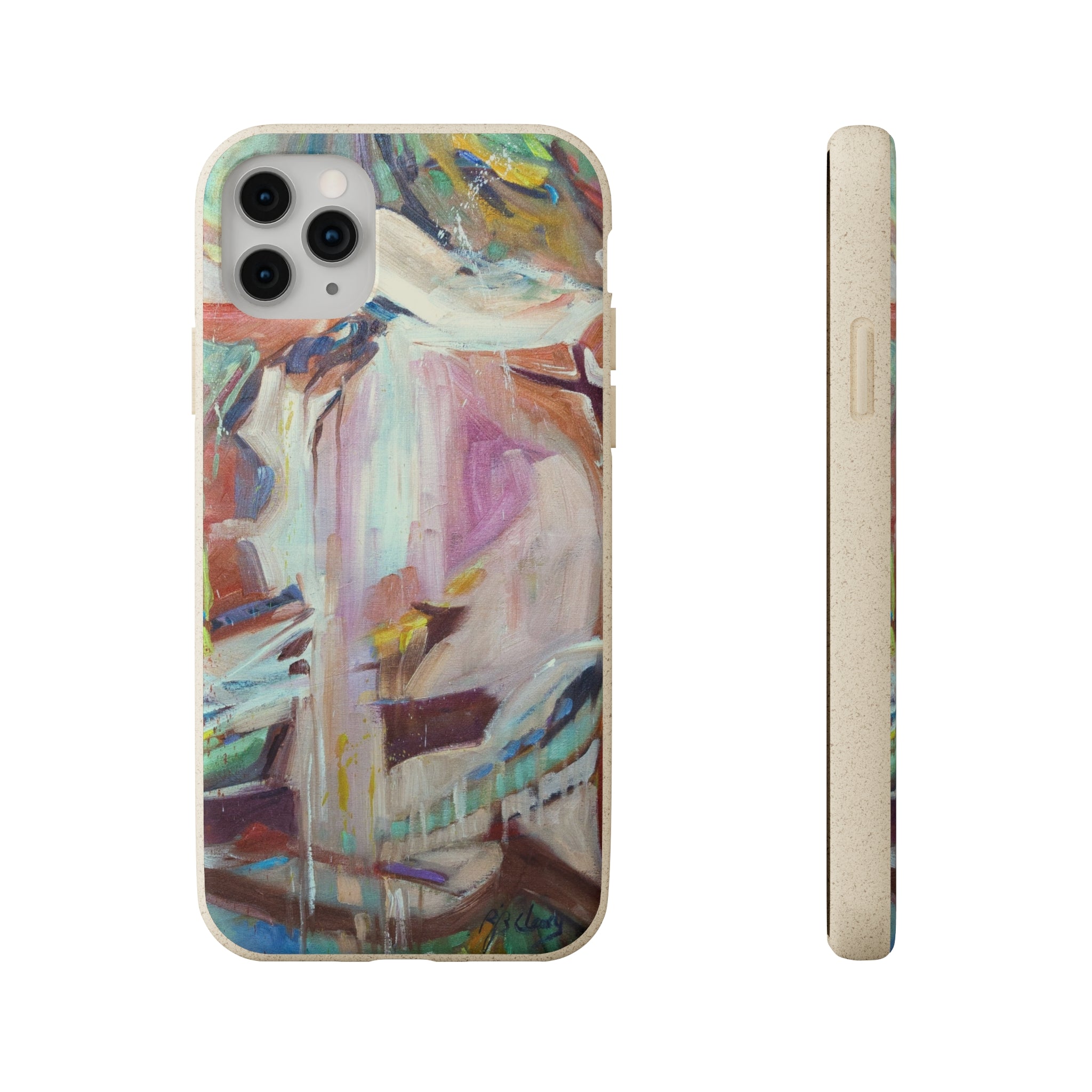 Biodegradable Phone Case with 'All Seasons' Abstract Original Artwork by Barbara Cleary